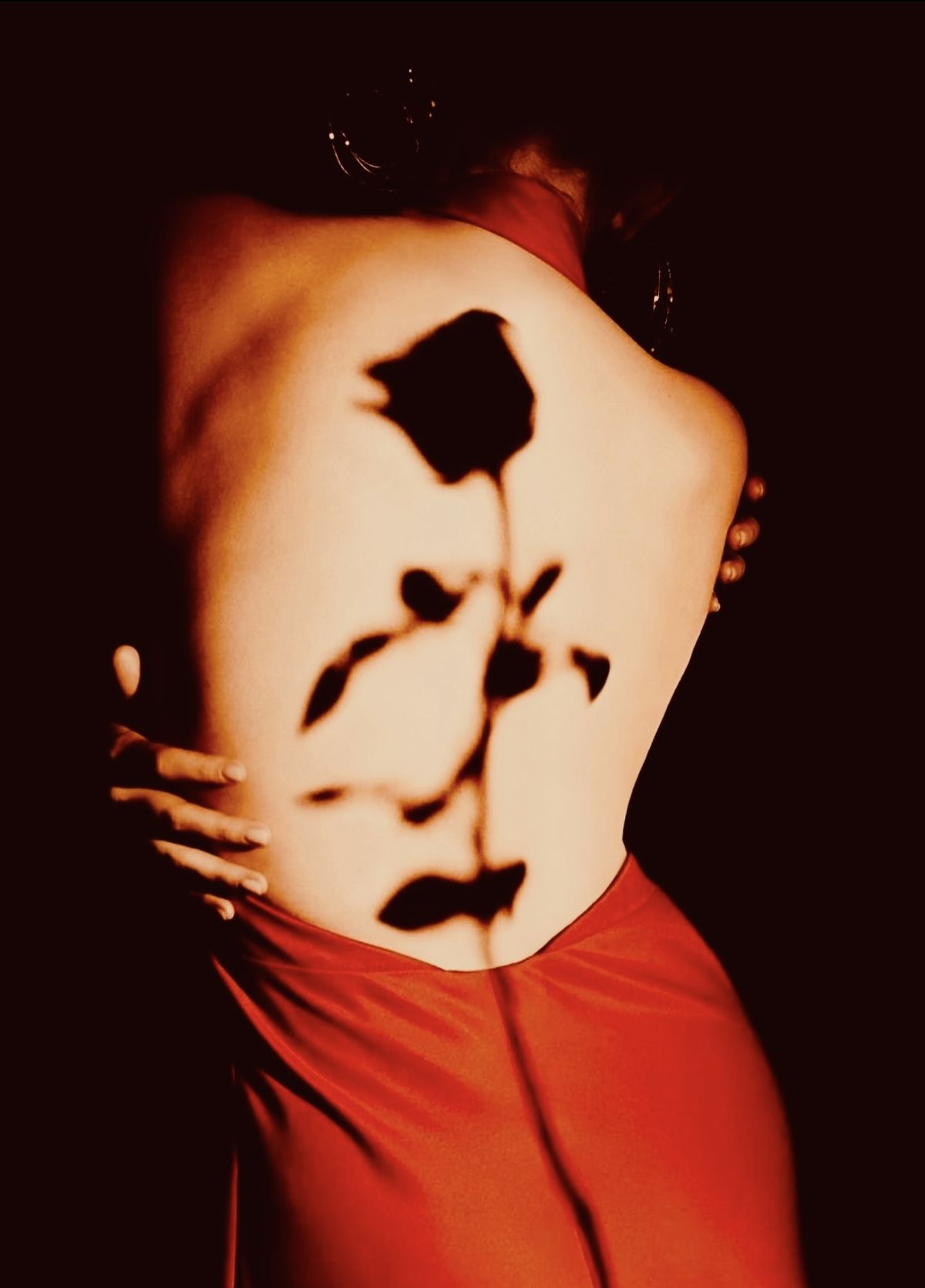 Rose Perfumes: The 3 Best - And Completely Different From Each Other ...
