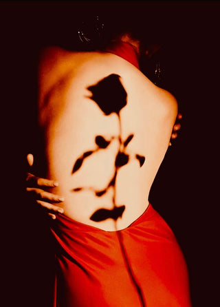 Profumi alla rosa: i 3 migliori - e completamente diversi tra loro!