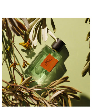 Goldfield & Banks Blue Cypress 100 ml N01138
