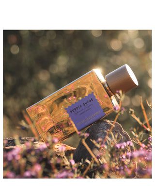 Goldfield & Banks Purple Suede 100 ml N01148