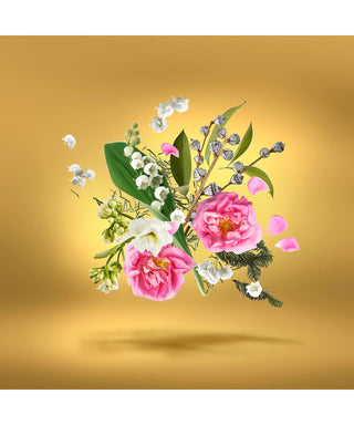 Xerjoff Accento Overdose 100 ml N02976