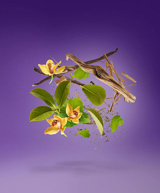 Xerjoff Laylati 100 ml N03039