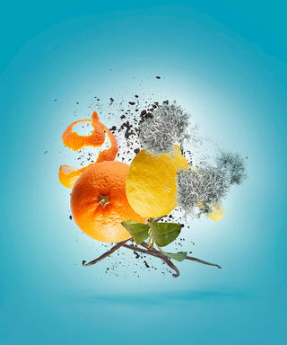 Xerjoff Erba Pura 50 ml N03014