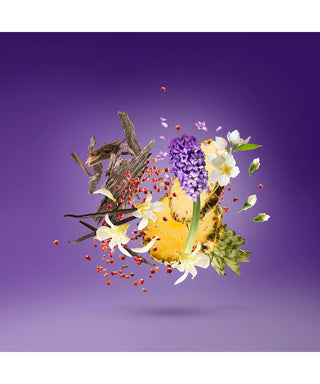 Xerjoff Purple Accento Swarovski 100 ml N03058