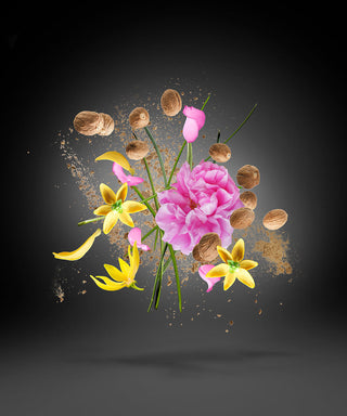 Xerjoff Opera 100 ml N03052