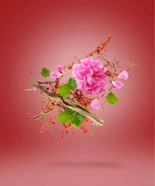 Xerjoff Wardasina 100 ml N03078