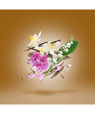 Xerjoff Alexandria III 50 ml N02982