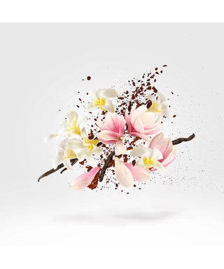 Xerjoff Allende 50 ml N02984