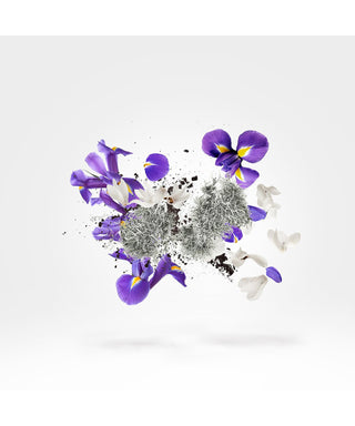 Xerjoff Apollonia 50 ml N02988