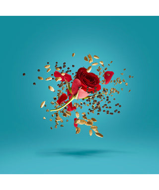 Xerjoff Groove Xcape 50 ml N03022