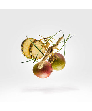 Xerjoff Cruz del Sur II 50 ml N02998