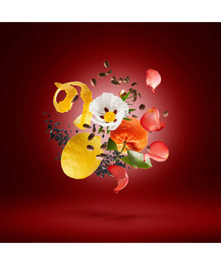 Xerjoff Golden Moka 50 ml N03021