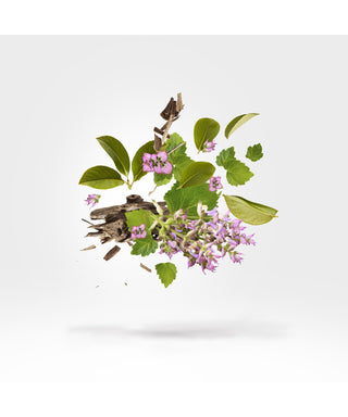 Xerjoff Holysm 50 ml N03024