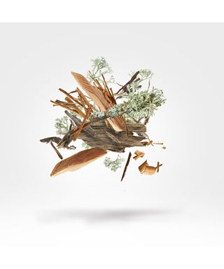 Xerjoff Ilm 50 ml N03027