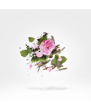 Xerjoff Jābir 50 ml N03030