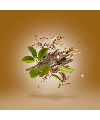 Xerjoff Luxor 50 ml N03043