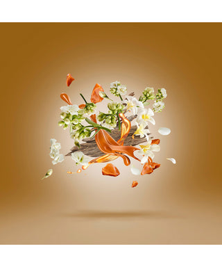 Xerjoff Mamluk 50 ml N03045