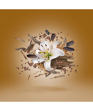 Xerjoff Malesia 50 ml N03044