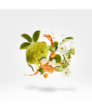 Xerjoff Naxos 100 ml N03048