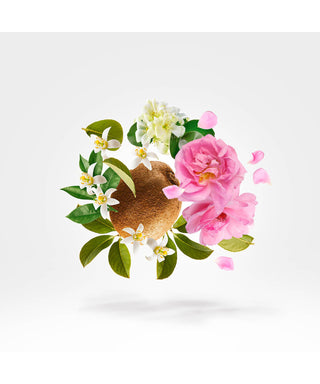 Xerjoff Oesel 50 ml N03051