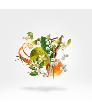 Xerjoff Renaissance 100 ml N03061