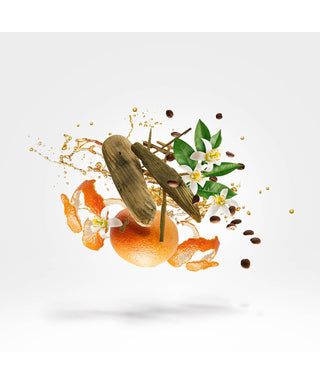 Xerjoff Uden 50 ml N03074