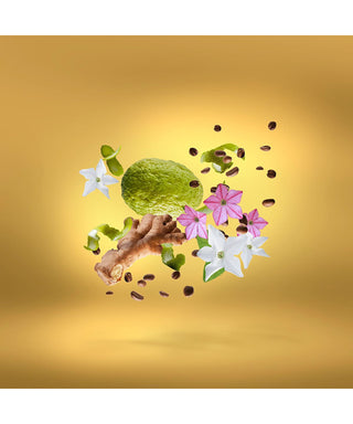 Xerjoff Uden Overdose 50 ml N03075