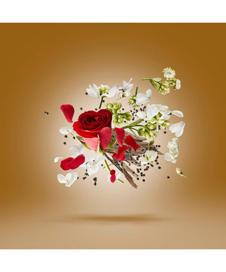 Xerjoff Zafar 50 ml N03080