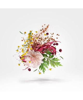 Xerjoff Zefiro 100 ml N03081