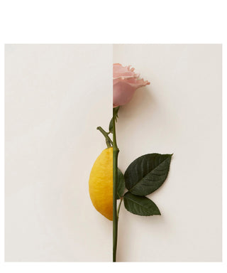 New Notes Rosa Limone 50 ml N02044