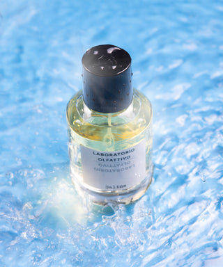 Laboratorio Olfattivo Salina 100 ml N01540