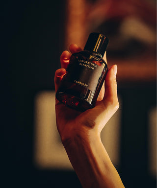 Laboratorio Olfattivo Kashnoir 100 ml N01521