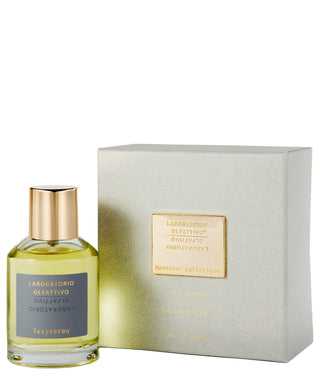 Laboratorio Olfattivo Vetyverso 100 ml N01550-02