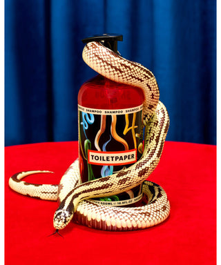 Toiletpaper Beauty Roast kit capelli e corpo 300+300 ml N05556