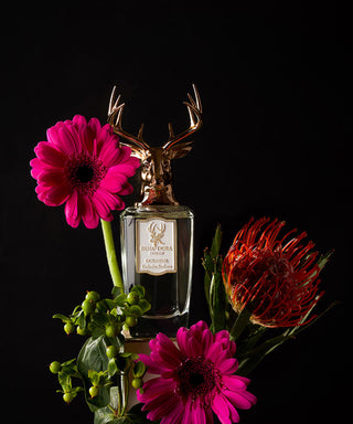 Pana Dora Sweden Dorasima 100 ml N02272