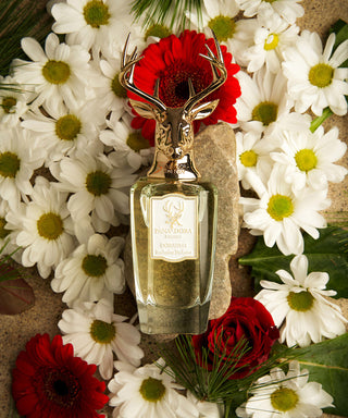 Pana Dora Sweden Dorasima 100 ml N02272