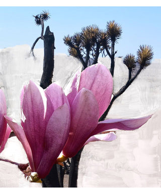 Byredo Mojave Ghost 50 ml N00451