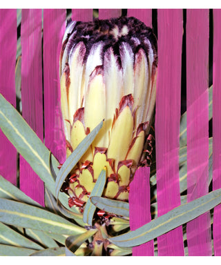 Byredo Inflorescence 50 ml N00446