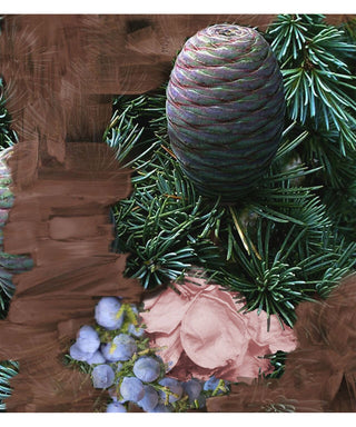 Byredo Super Cedar 50 ml N00458