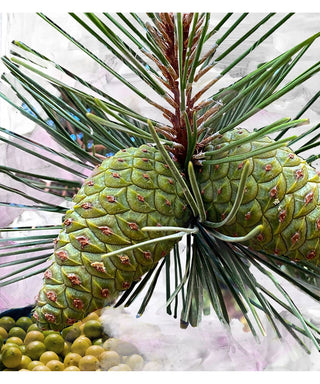 Byredo Gipsy Water 75 ml N00444