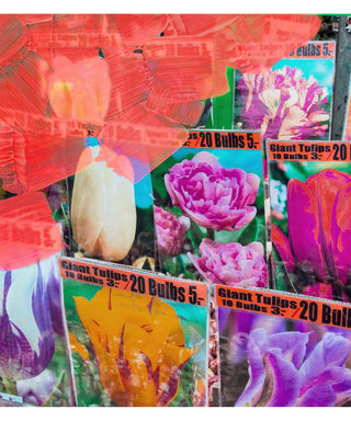 Byredo La Tulipe 75 ml N00448