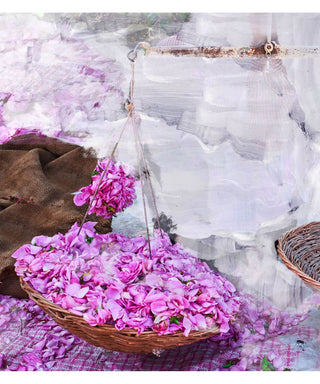 Byredo Young Rose 50 ml N00459