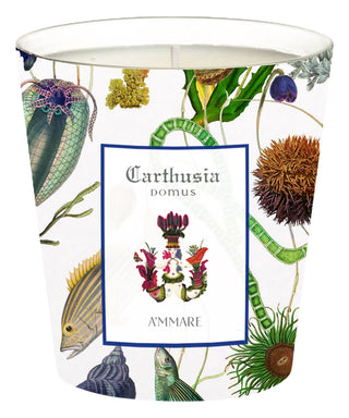 Carthusia i Profumi di Capri A’Mmare 300 g N04969-01