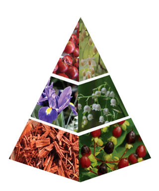 Naseem Amethyst Love 75 ml N01998