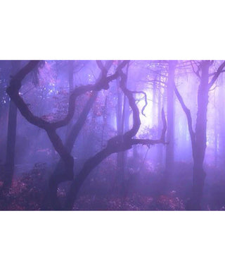 Naseem Amethyst Love 75 ml N01998