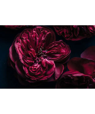 Naseem Hypnotic Passion 75 ml N01999