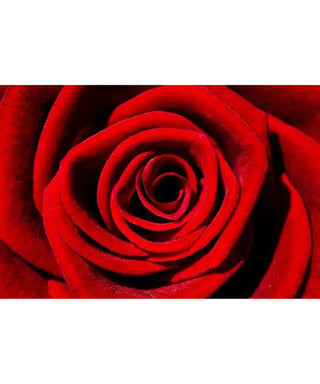 Naseem Love Me Now 75 ml N02001