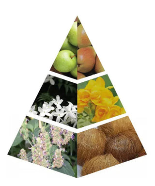 Naseem Purple Blue 75 ml N02004