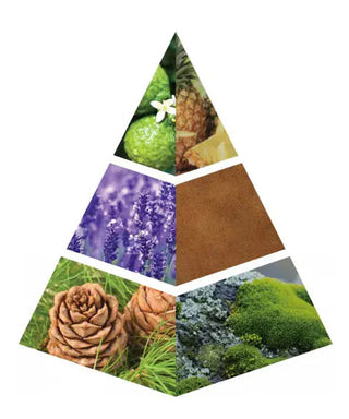 Naseem Turn Up the Volume 75 ml N02006