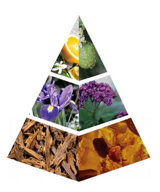 Naseem Twin Paradise 75 ml N02007